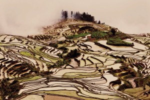 Rüyada aynı rüyayı iki kere görmek - HalisRuyalar.com